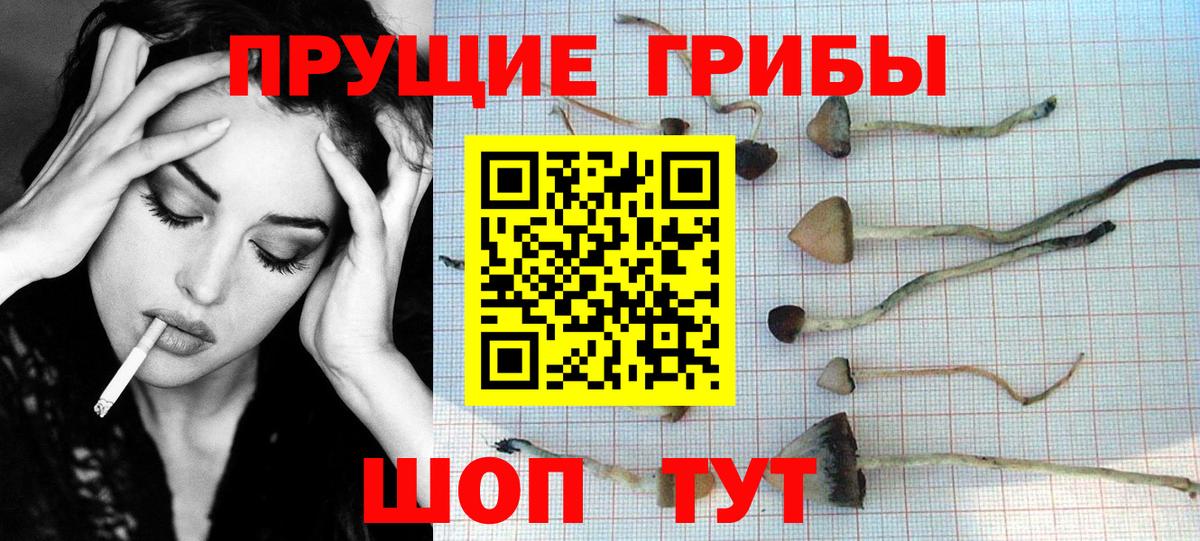 Галлюциногенные грибы GOLDEN TEACHER Ханты-Мансийск
