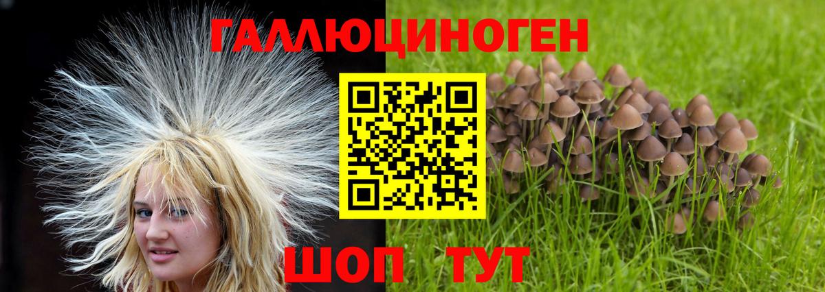 дарнет шоп  Псилоцибиновые грибы прущие грибы  Ханты-Мансийск  Вход с VPN  Псилоцибиновые грибы Magic Shrooms 
